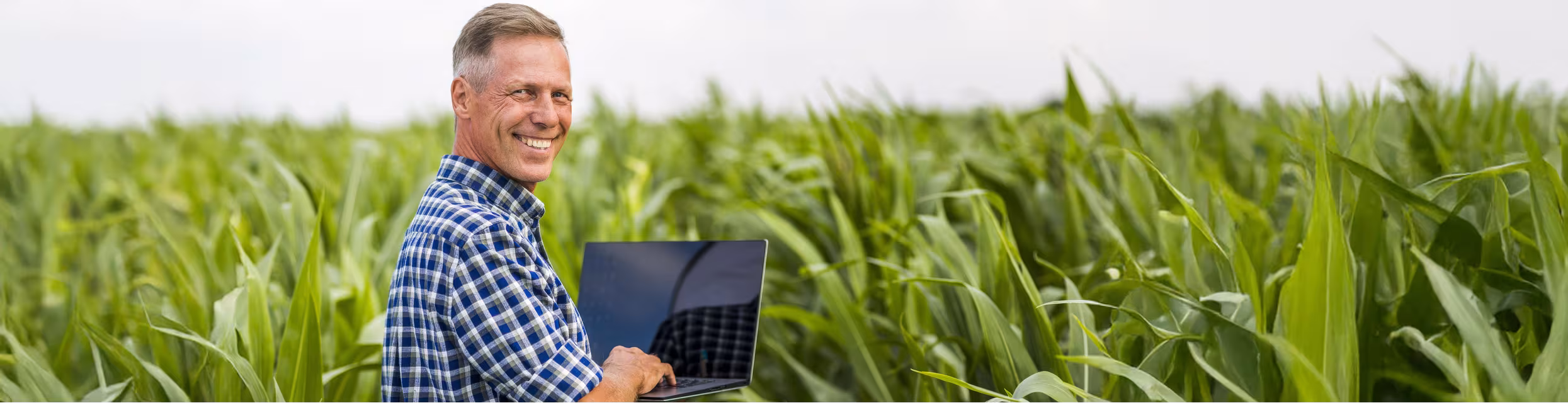 AGRO Steuerberatungsgesellschaft: Ihre Steuerberatung für die Landwirtschaft